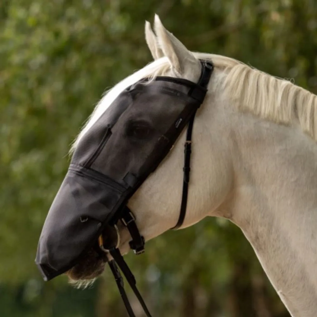 Vliegenmasker Riding plus-Full by Busse – product photo