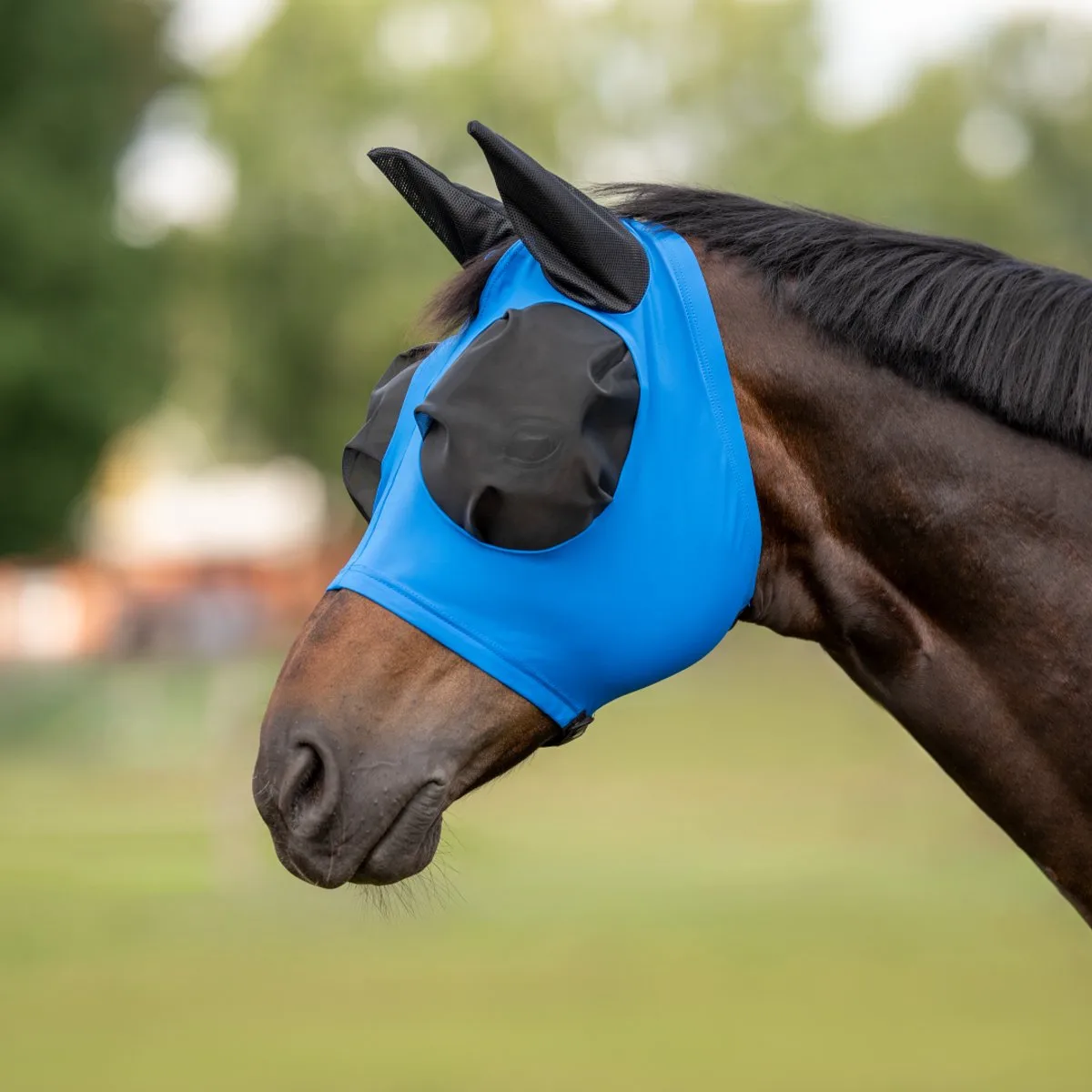 Vliegenmasker Twin Fit Flexi-Royal Blue-Cob van Busse – productfoto
