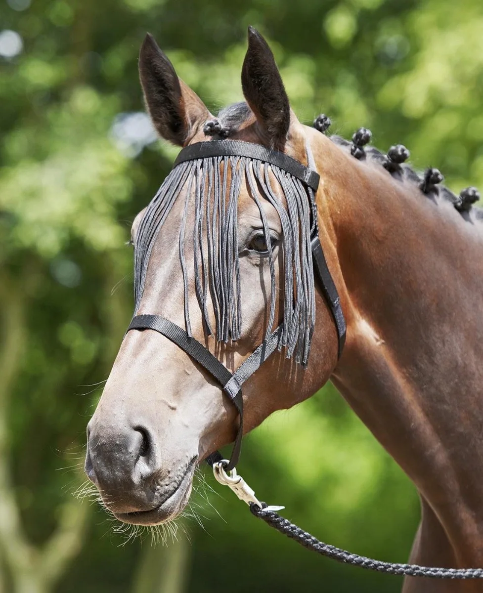 weidehalster fransen - Zwart - Cob by Busse – product photo