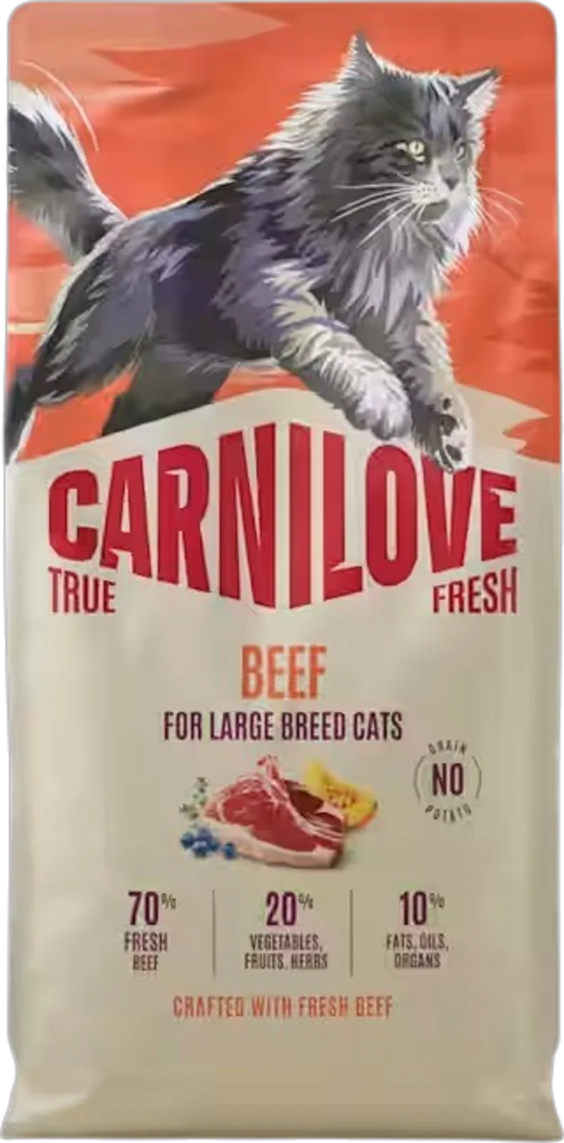 Trockenfutter Katze True Fresh Beef Large Breeds - 400 g van Carnilove – productfoto