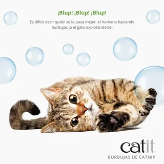 Bulles D´herbe à Chat by Catit – product photo 2 of 4