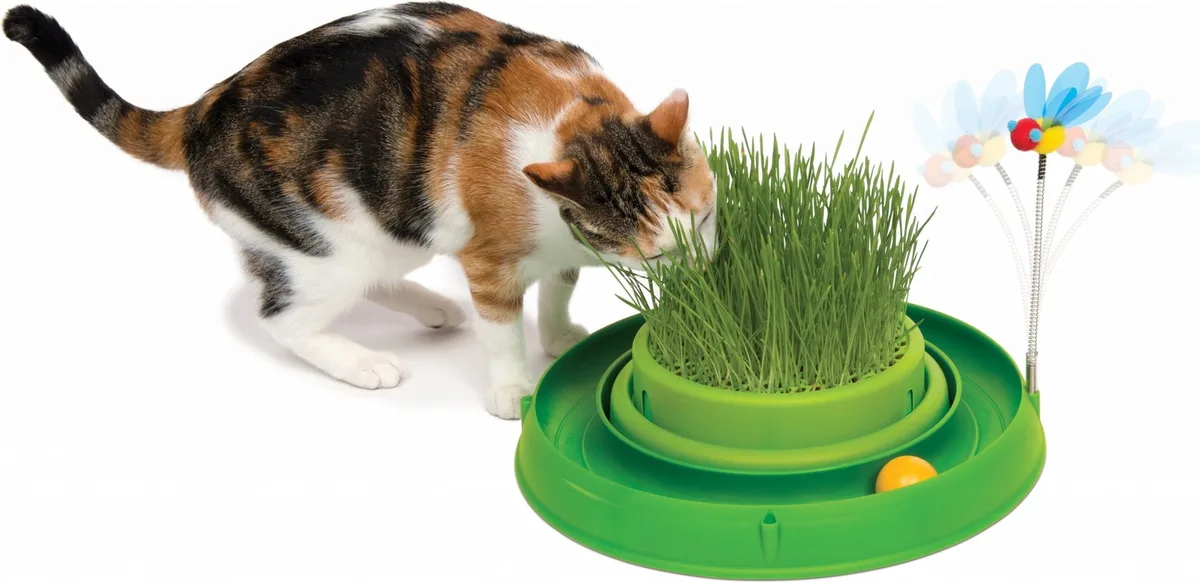 catit play´n scratch kattengras groen van Catit – productfoto