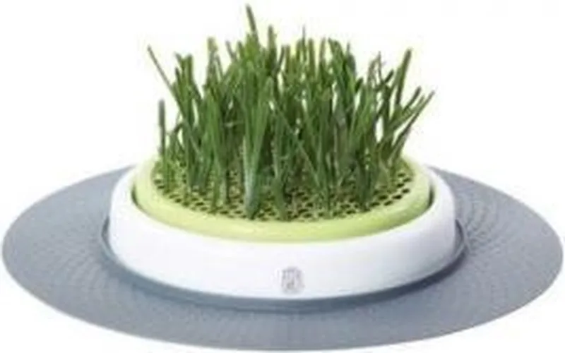 Design Senses Grass Garden Kit - Kattengras - 1 by Catit – product photo