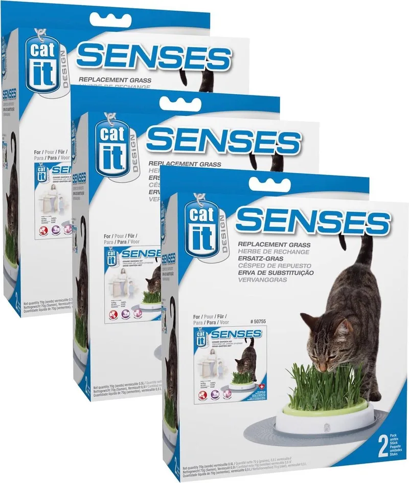 Senses Grass Garden Navulling - Kattenspeelgoed - 3 x 2 stuks de Catit – photo produit