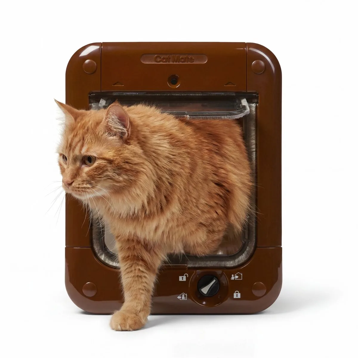Kattenluik met Chip - Microchip Kattenluik met 4-Vergrendelingsstanden - 24,6 x 19,7 cm - 360W van Catmate in Bruin – productfoto