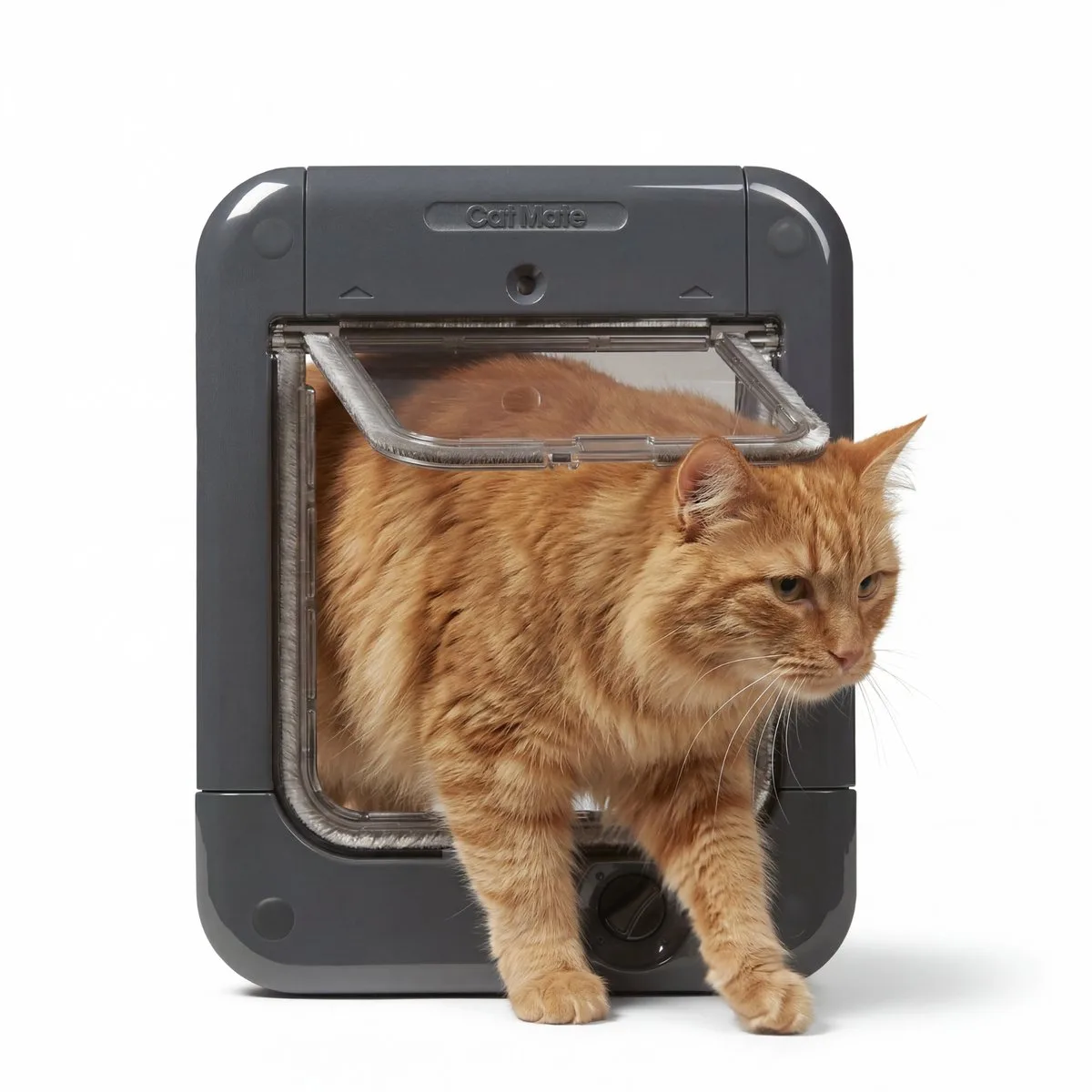 Kattenluik met Chip - Microchip Kattenluik met 4-Vergrendelingsstanden - 24,6 x 19,7 cm - 360W von Catmate in Grau – Produktfoto