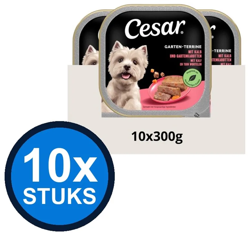 10x Cesar - Primeur Paté Kalf & Worteltjes - Hondenvoer Natvoer - 300g de Cesar – photo produit