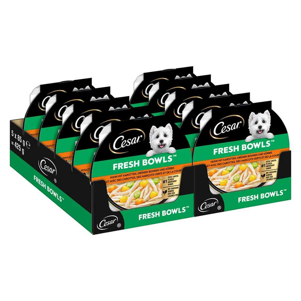 10x85g Cesar Fresh Bowls kip in saus natvoer voor honden by Cesar – product photo