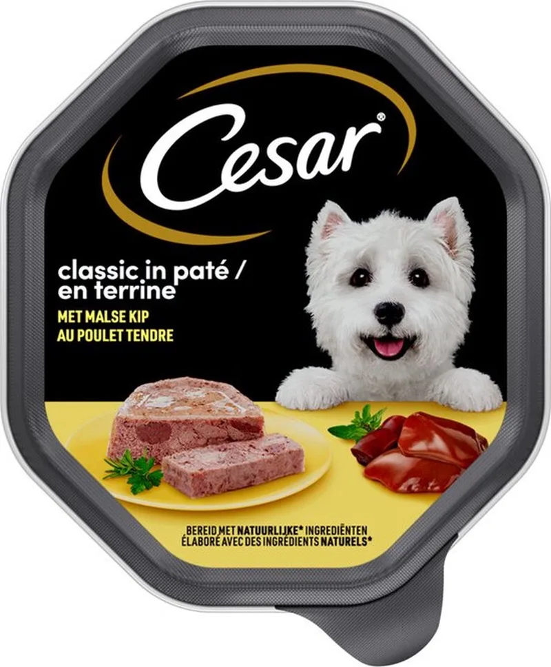 15x Cesar Hondenvoer - Classic - Kip in Paté - Maaltijdkuipjes 150g de Cesar – photo produit