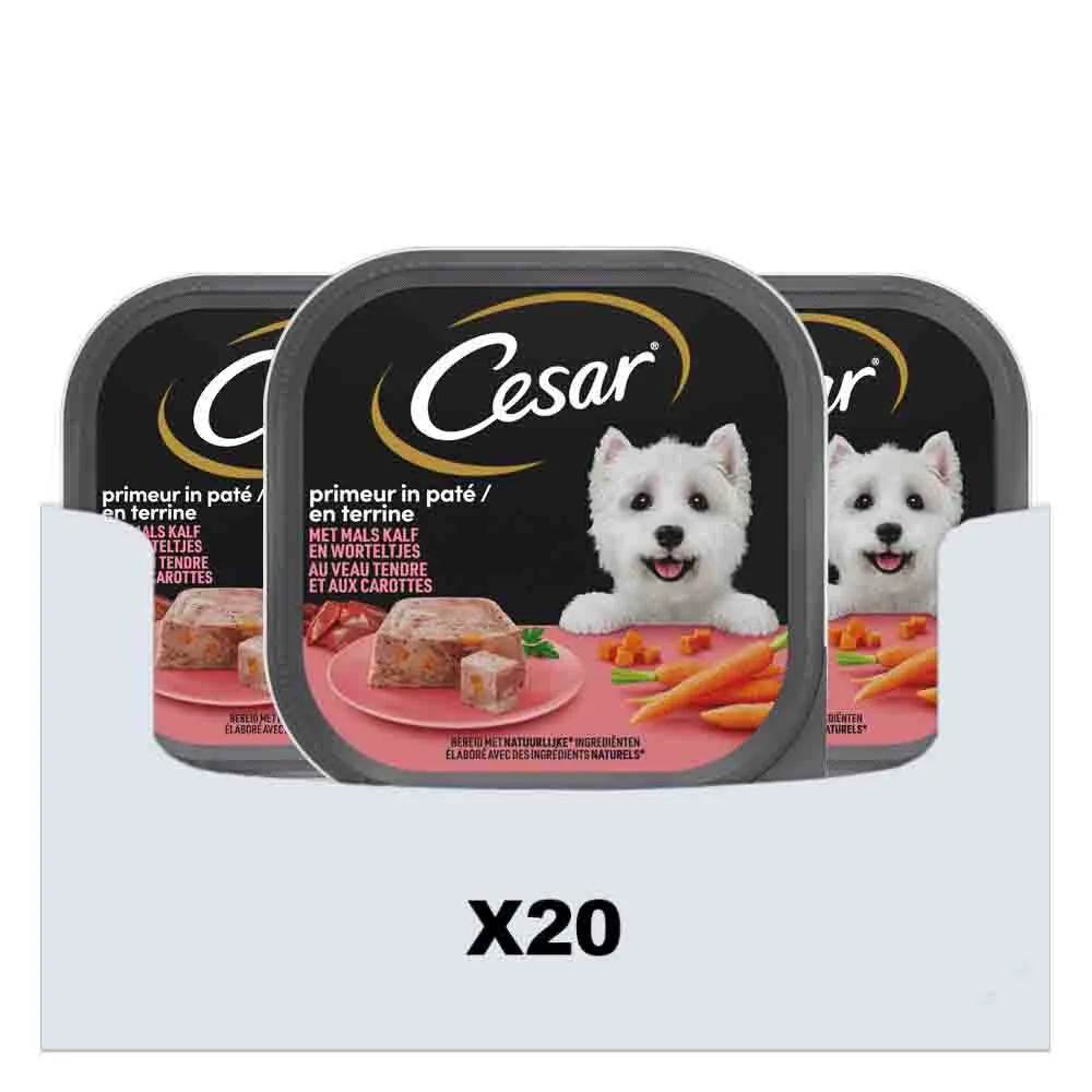 20x Cesar Hondenvoer Nat Primeur Kalf & Worteltjes 300 gr van Cesar – productfoto