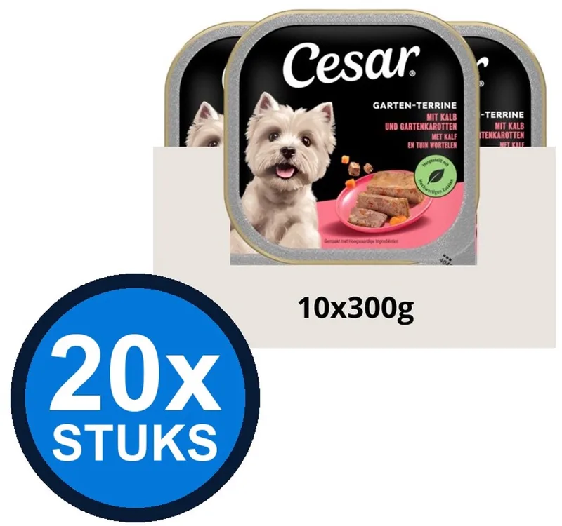 20x Cesar - Primeur Paté Kalf & Worteltjes - Hondenvoer Natvoer - 300g von Cesar – Produktfoto