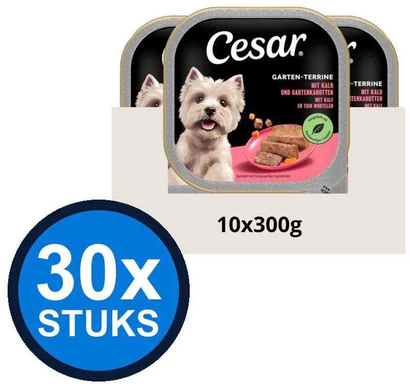 30x Cesar - Primeur Paté Kalf & Worteltjes - Hondenvoer Natvoer - 300g von Cesar – Produktfoto