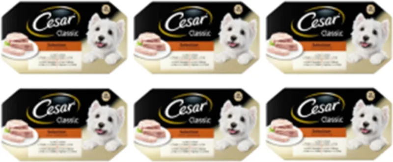 6x Cesar Classic Kuipje in Gelei Selection Multipack - Hondenvoeding - 600g by Cesar – product photo