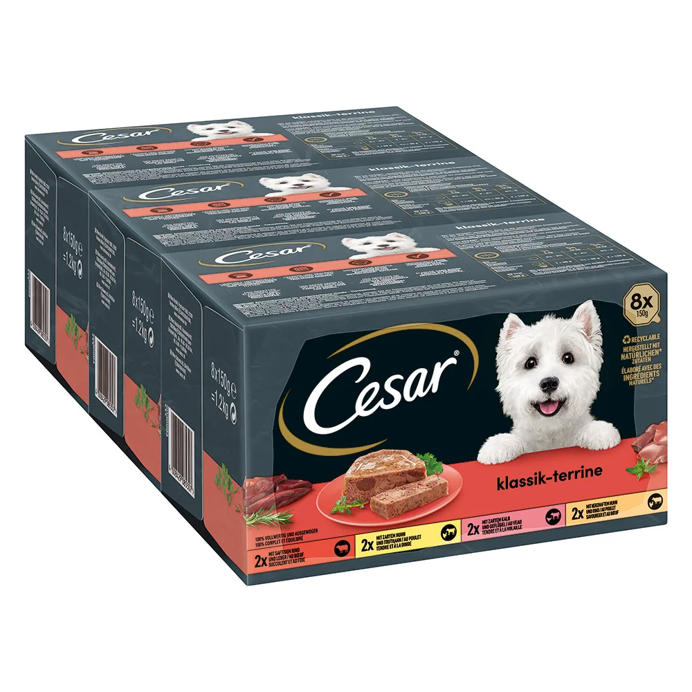 96x150g Cesar Classic Terrine Hondenvoer från Cesar – produktbild