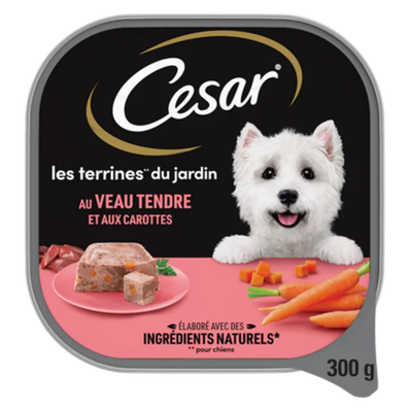 Garden Inspirations Terrine Pâté Nourriture pour Chien - Bœuf & Carotte 300 g från Cesar – produktbild