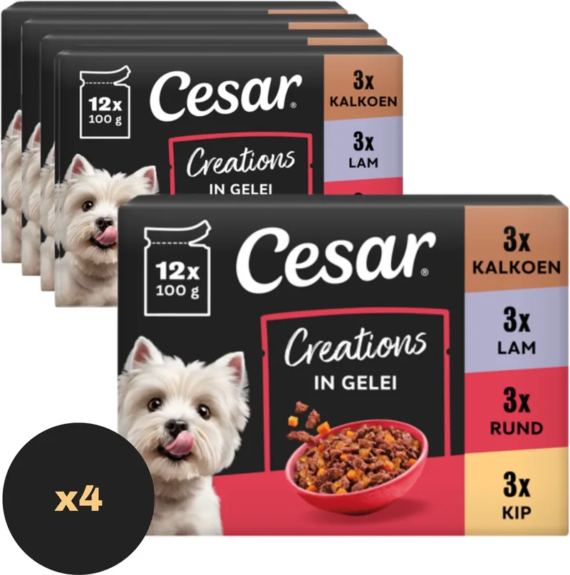 Hondenvoer - Creation Mix Selectie in Gelei - Maaltijdzakjes - 48 x 100g de Cesar – photo produit