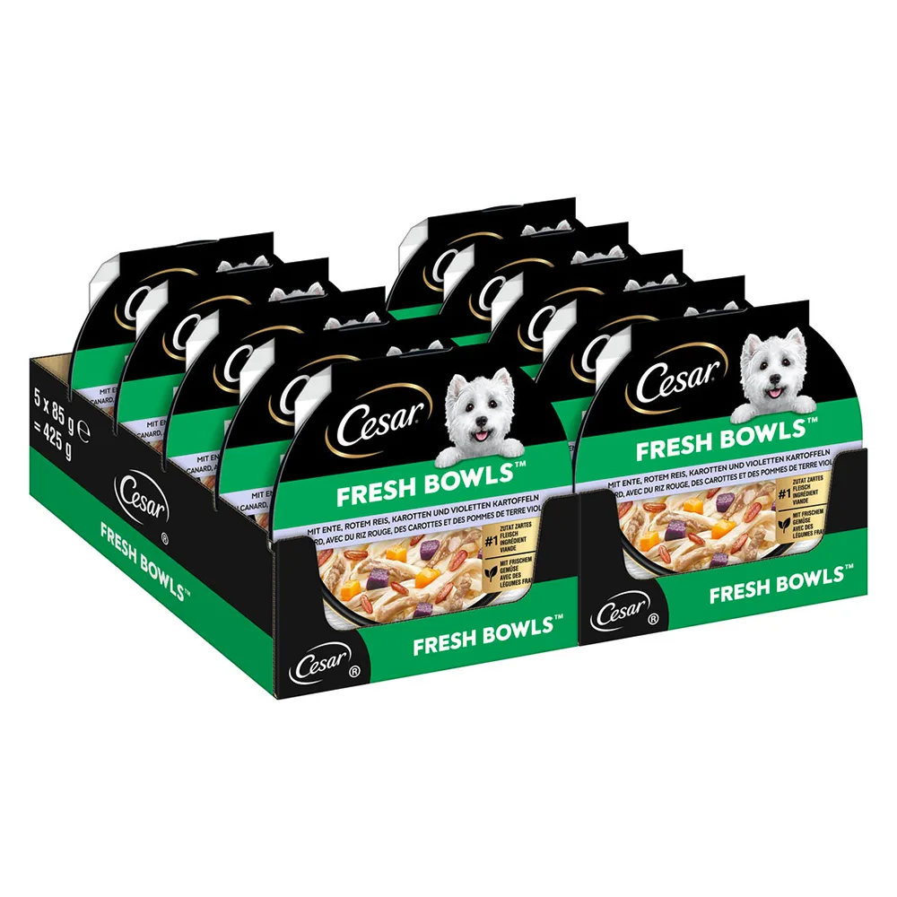 Voordeelpakket: 20x85g Cesar Fresh Bowls eend in saus natvoer voor honden by Cesar – product photo
