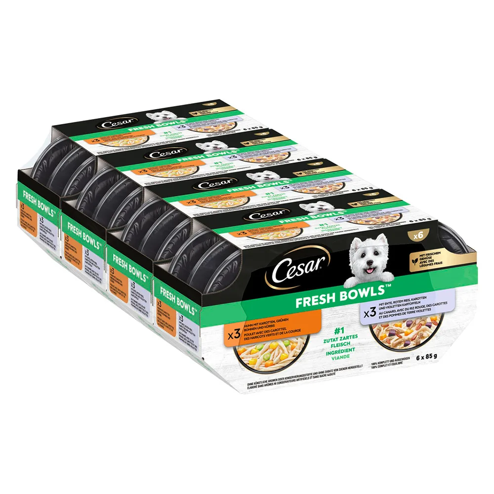 Voordeelpakket: 96x85g Cesar Verse Schalen Kip & Eend in saus natvoer voor honden från Cesar – produktbild