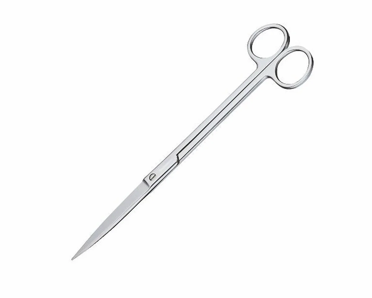 SCHAAR RECHT 21 CM von Chihiros – Produktfoto