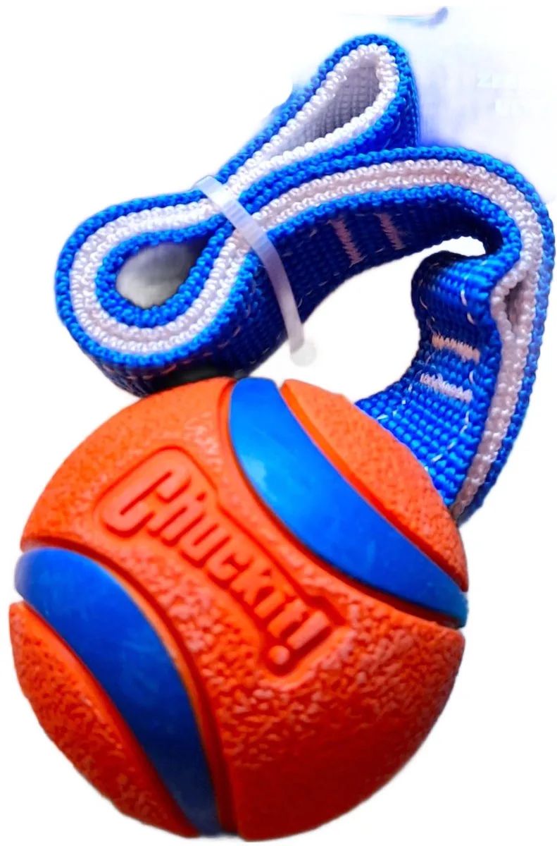 Bal met trek lijntje - Speelgoed voor dieren - medium - 7 cm - Oranje met blauw - Honden bal - Speelbal hond - Speelgoed hond - Tugger - Trekspeeltje by Chuckit! in Blauw met oranje en wit – product photo
