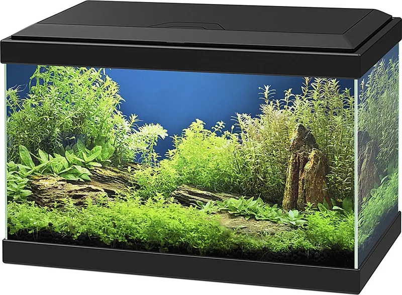 Aqua 20 Aquarium - 40x 20x31 cm - 17L by Ciano in Black – product photo
