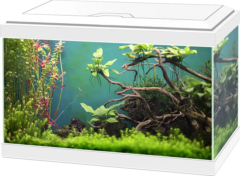 aquarium aqua 20 classis - 40x20x24,8cm - 20L de Ciano en Blanc – photo produit