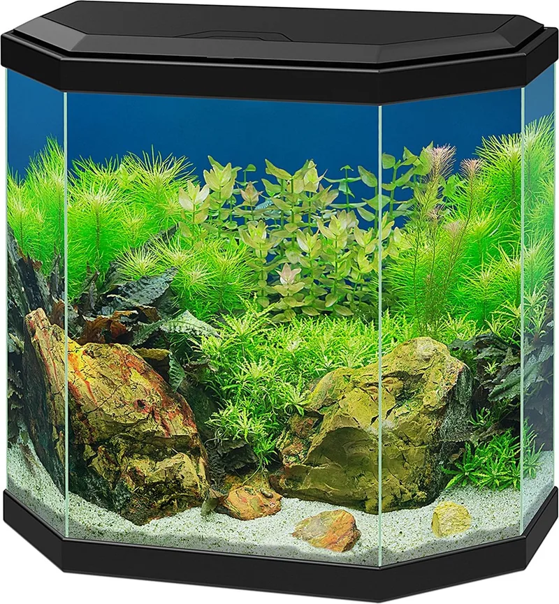 Aquarium Aqua 30 LED - 25L von Ciano in Schwarz – Produktfoto
