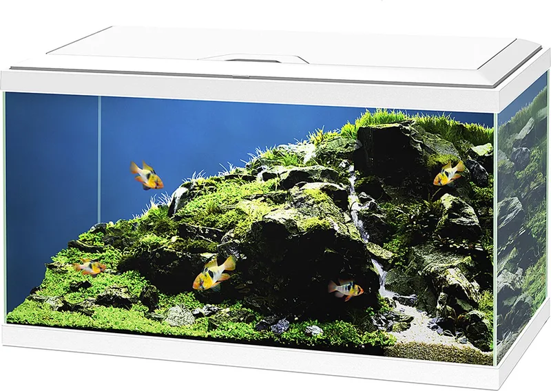 Aquarium Aqua 60 - Led - 60L de Ciano en Blanc – photo produit