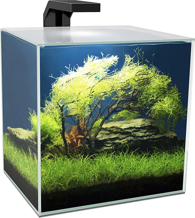 Aquarium Cube 15 LED Zwart by Ciano in <> – product photo