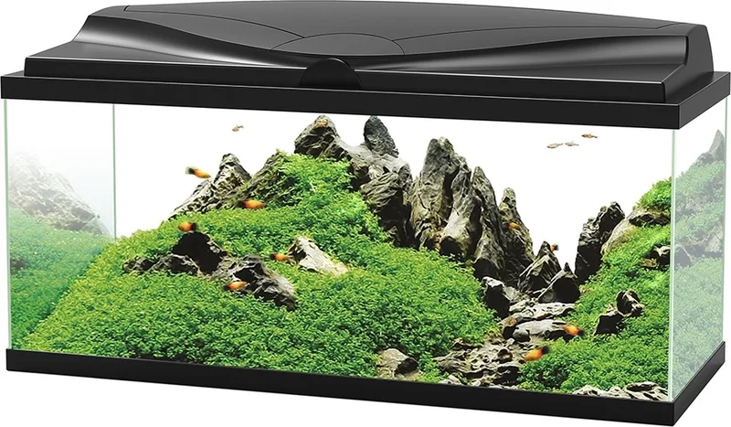 Aquarium - LED Bio - 74 liter - 80x30x41,5 cm by Ciano in Black – product photo