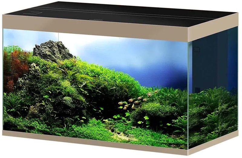 Aquarium Pro 100 Deep 300 liter | 102 x 58 x 61 cm | complete set fra Ciano i Mystic – produktbillede
