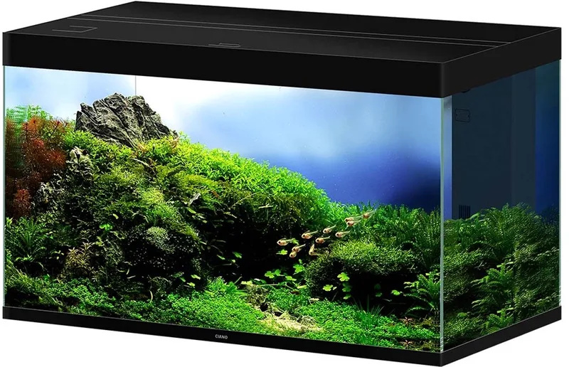 Aquarium Pro 100 Deep 300 liter | 102 x 58 x 61 cm | complete set von Ciano in Schwarz – Produktfoto