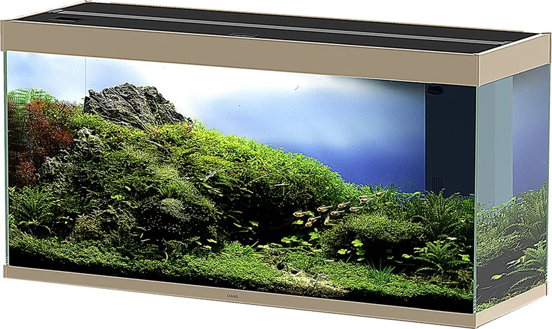 Aquarium - Vissen by Ciano in Mystic – product photo