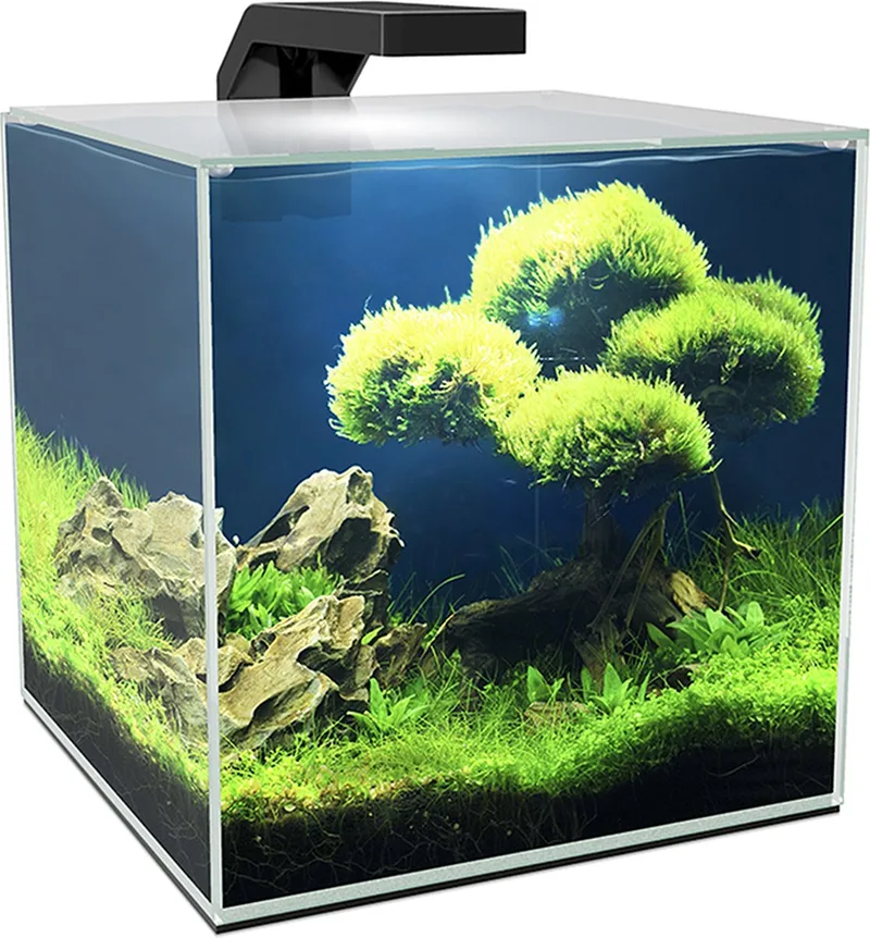 Aquarium - Vissen von Ciano in Schwarz – Produktfoto
