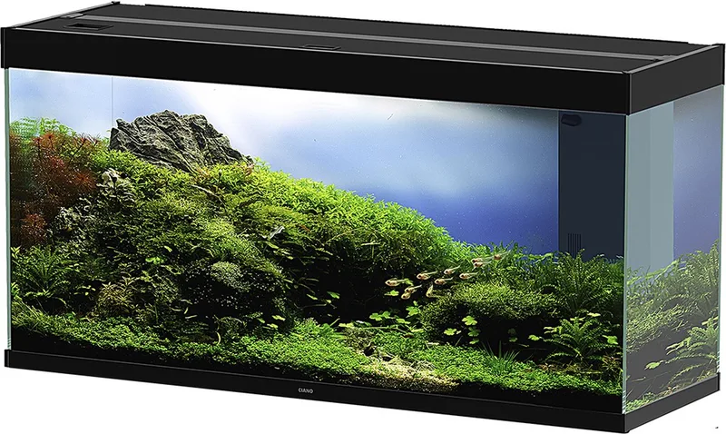Emotions PRO 120 Set Aquarium - 40x121x60 cm - 233L von Ciano in Schwarz – Produktfoto