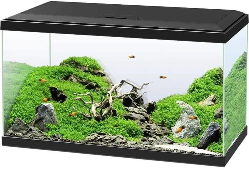 Emotions Pro 60 – Aquarium set – CF80 filter de Ciano en Noir – photo produit
