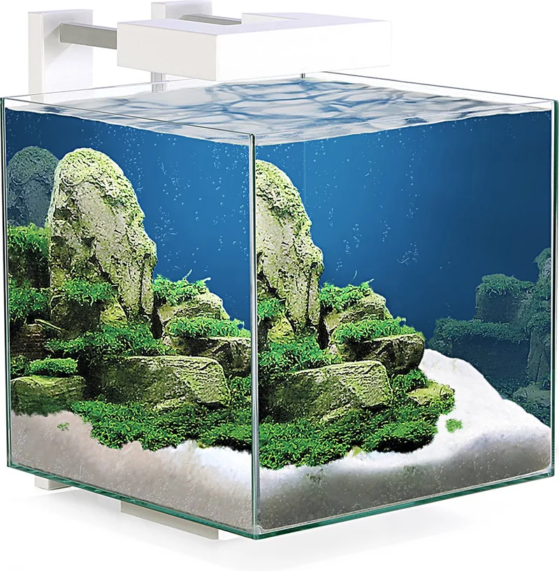 nexus pure led 15 - nano aquarium - 14L by Ciano in Transparent – product photo