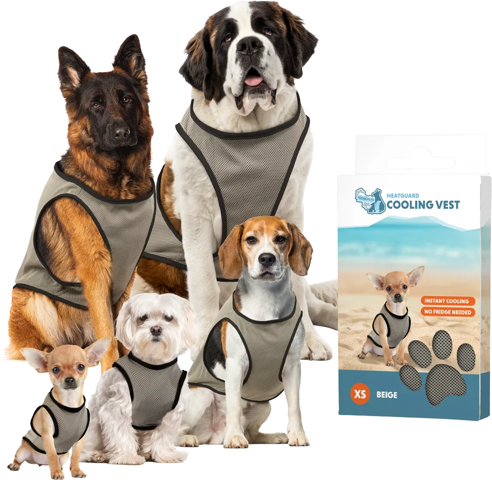Cooling Vest - XS by CoolPets – product photo