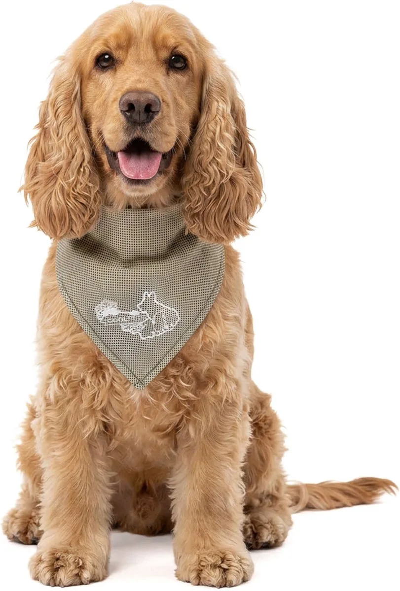 Koelband Hond M - Cooling Bandana Hond - Verkoelende Bandana Hondenhalsband - Koelhalsband - Verkoeling Hond - 65 x 30 cm från CoolPets i Beige – produktbild