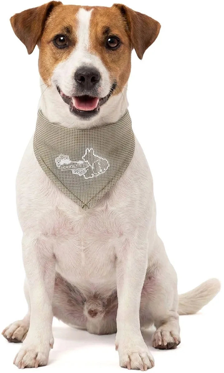 Koelband Hond S - Cooling Bandana Hond - Verkoelende Bandana Hondenhalsband - Koelhalsband - Verkoeling Hond - 45 x 20 cm by CoolPets in Beige – product photo