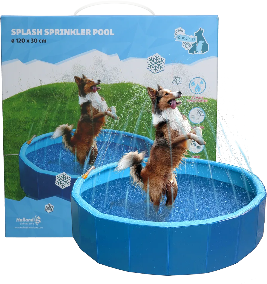 Splash Sprinkler Pool - 1 Stk by CoolPets – product photo