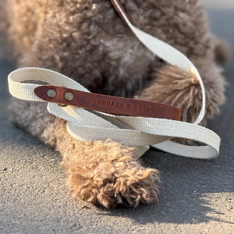 Adventure Hondenriem - Bruin - 1.5 cm - Oud Messing fra Cooper & Quint i Brun, Schelpenwit – produktbillede