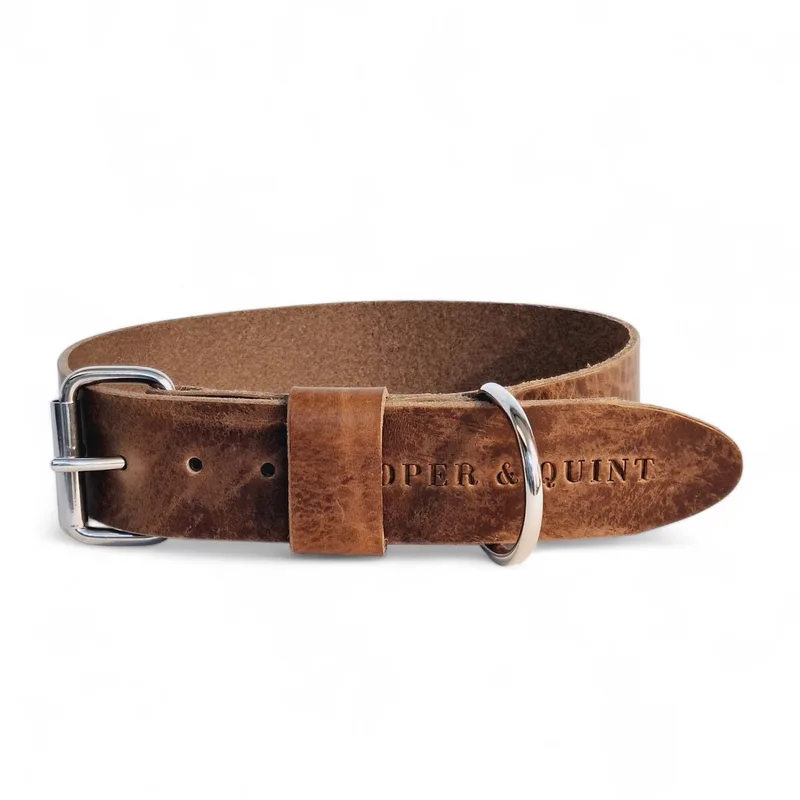 Bold Brede Leren Halsband - Large - 4 cm - Zilver von Cooper & Quint in Stone – Produktfoto