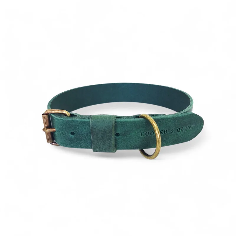 Bold Brede Leren Halsband - Medium - 4 cm - Oud Messing de Cooper & Quint en Vert – photo produit