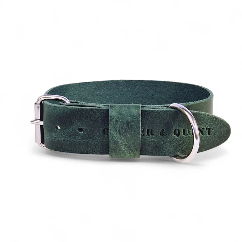Bold Brede Leren Halsband - Medium - 4 cm - Zilver från Cooper & Quint i Grön – produktbild