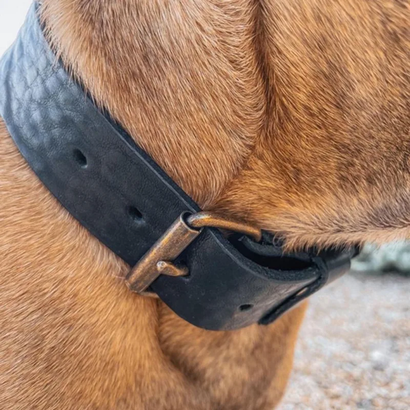 Bold Brede Leren Halsband - Small - 4 cm - Oud Messing von Cooper & Quint in Schwarz – Produktfoto