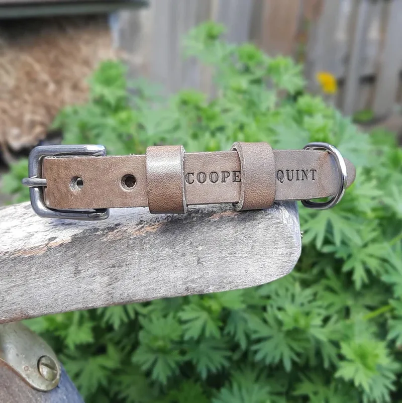 Double Trouble - Halsband Hond Leer - Medium by Cooper & Quint in Stone – product photo