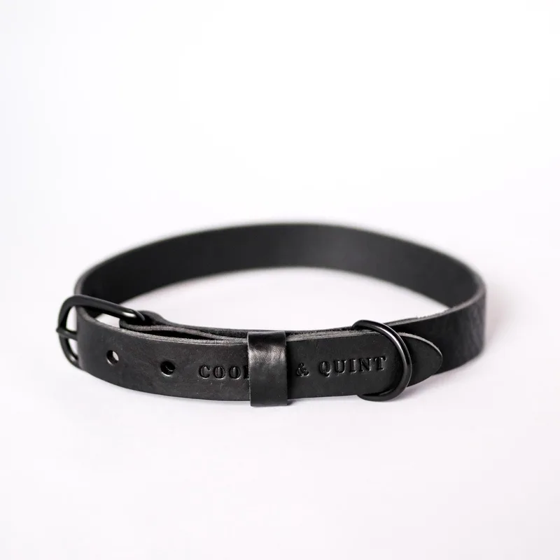No Fuss - Halsband Hond Leer - All Black - Large von Cooper & Quint in Schwarz – Produktfoto