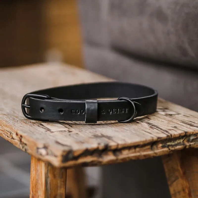 No Fuss - Halsband Hond Leer - All Black XS by Cooper & Quint in Black – product photo