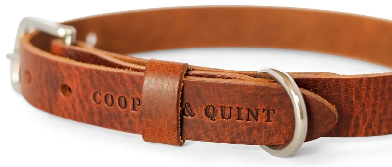 No Fuss - Halsband Hond - Leren Halsband Hond - Bruin - Zilver - Extra Small by Cooper & Quint in Brown – product photo